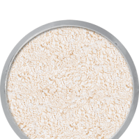 Maquillage kryolan poudre 5704 tl11