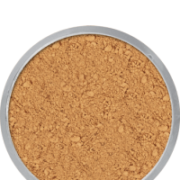 Maquillage kryolan poudre 5704 tl5